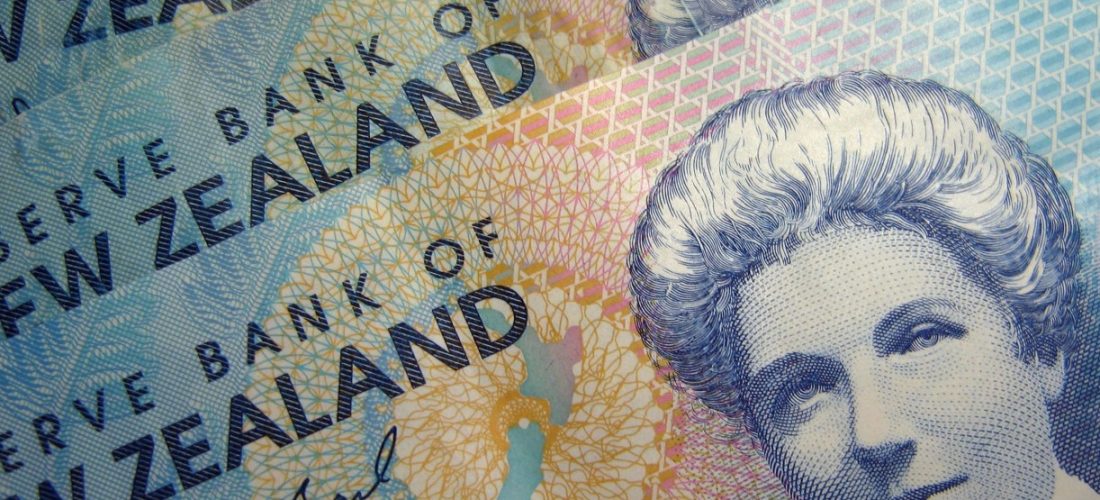 basic income zealand